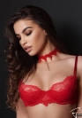 Luxxa Lenceria COLLAR CERCANO A CUELLO JOYA 1